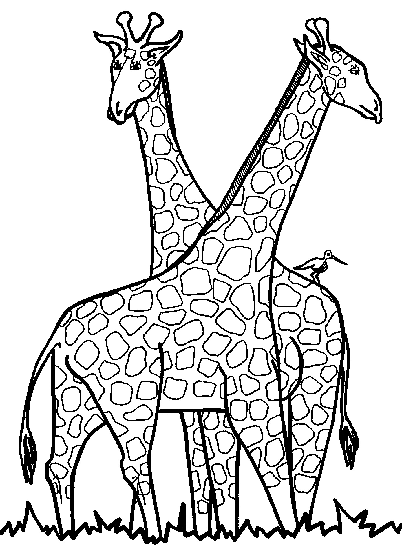 100+ Giraffe Coloring Pages 71