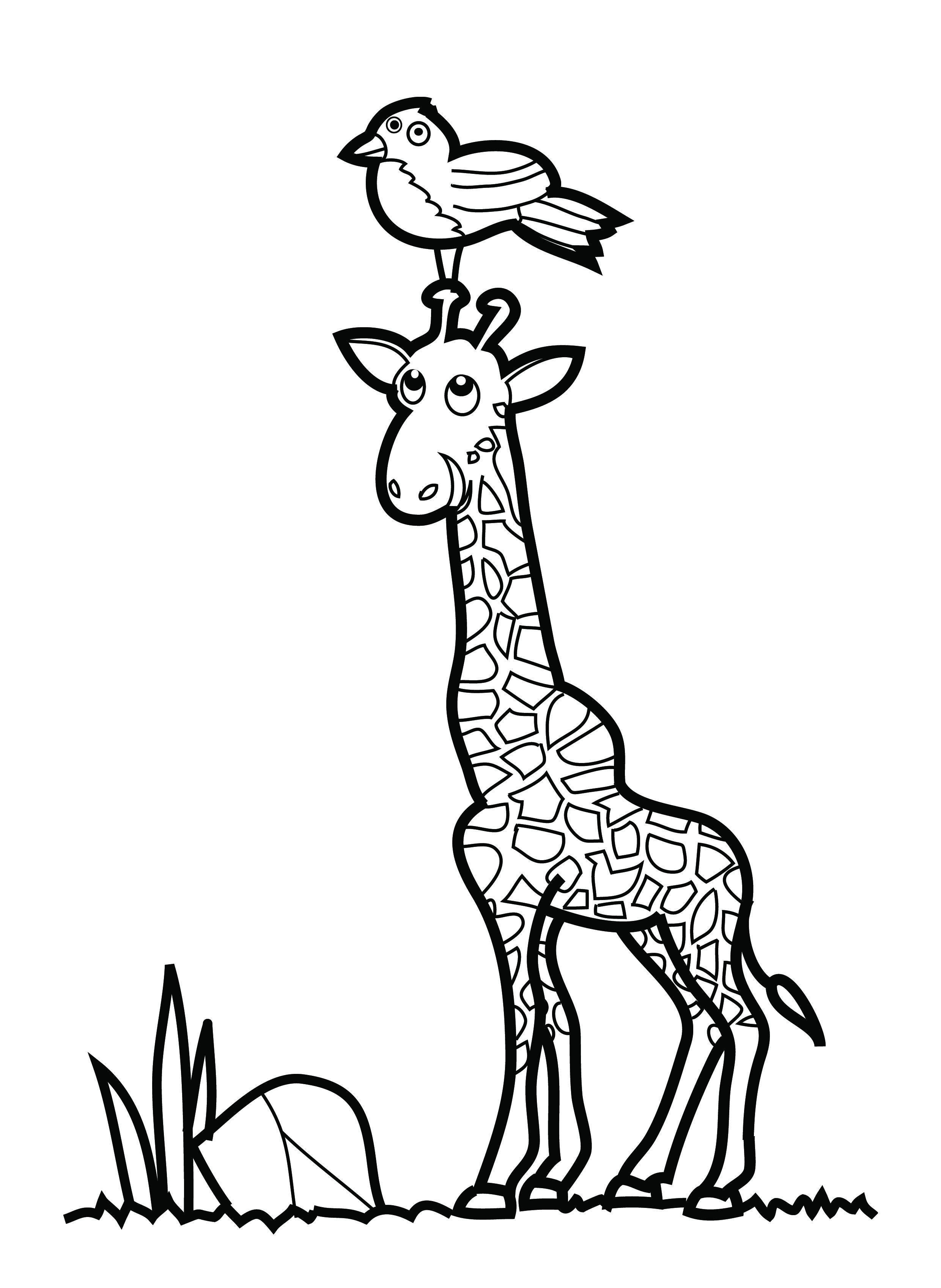 100+ Giraffe Coloring Pages 73