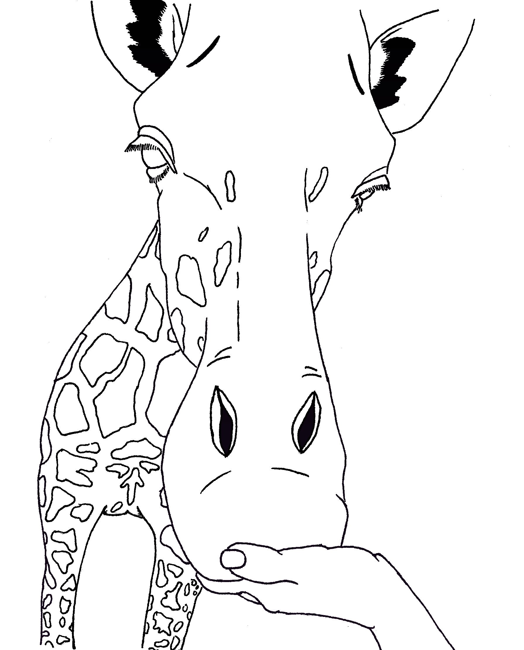 100+ Giraffe Coloring Pages 8