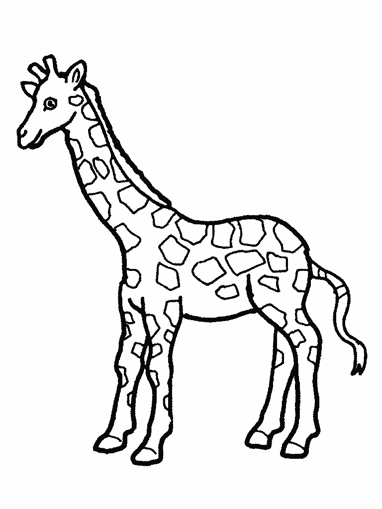 100+ Giraffe Coloring Pages 80