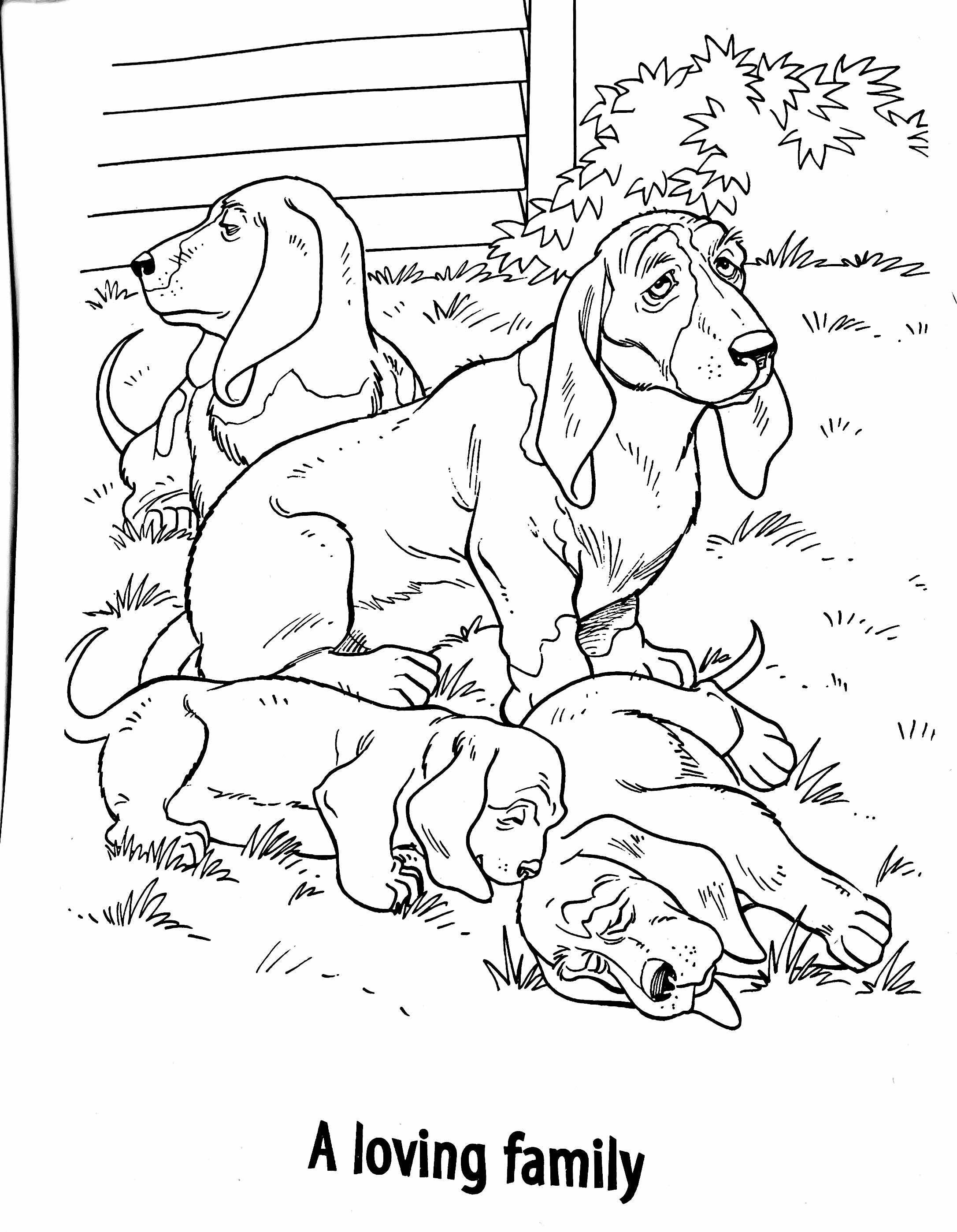 130+ Family Coloring Pages: Celebrate Togetherness 4