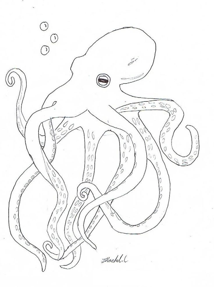 199+ Octopus Coloring Pages FREE Printable 12