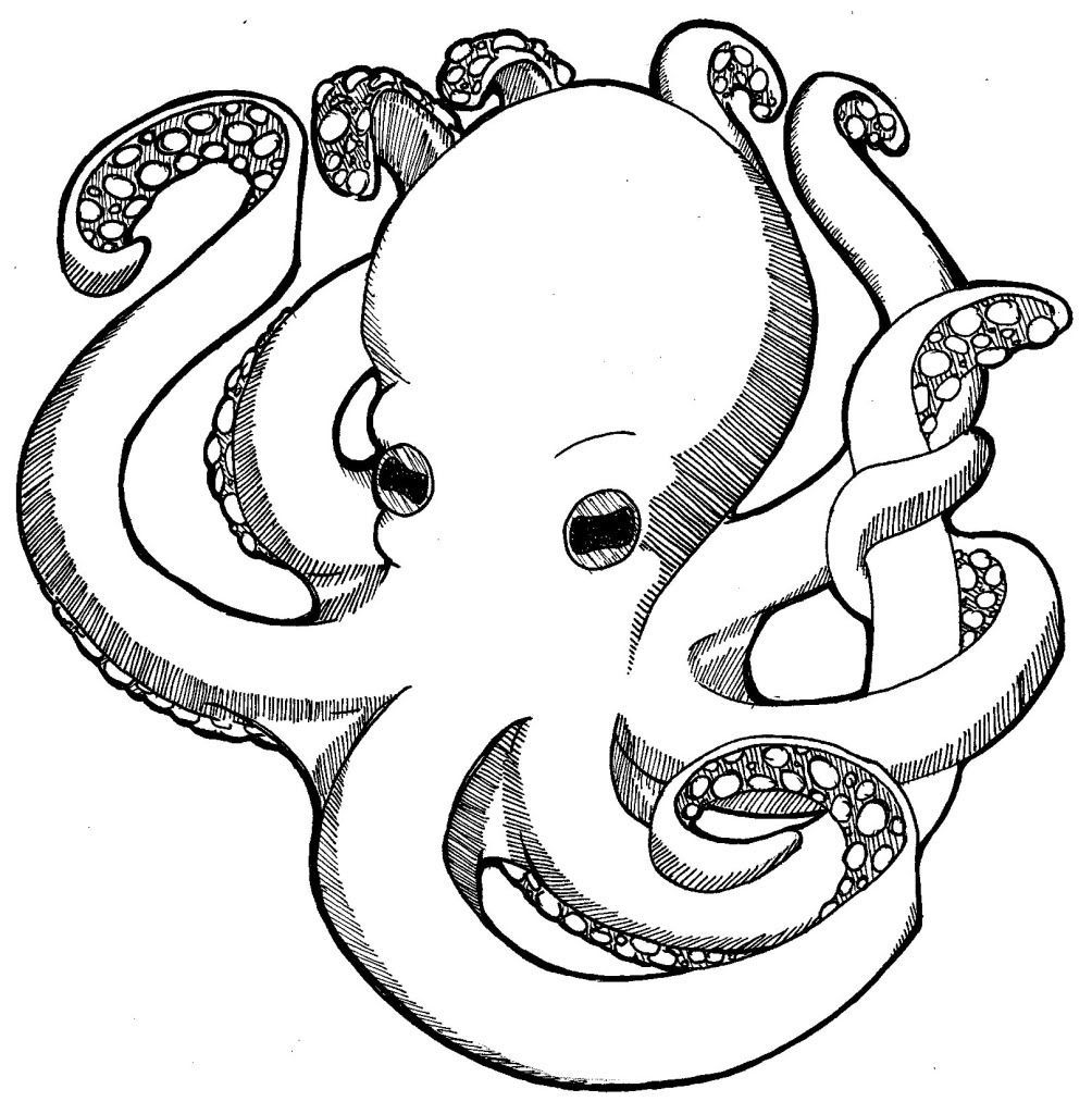 199+ Octopus Coloring Pages FREE Printable 149