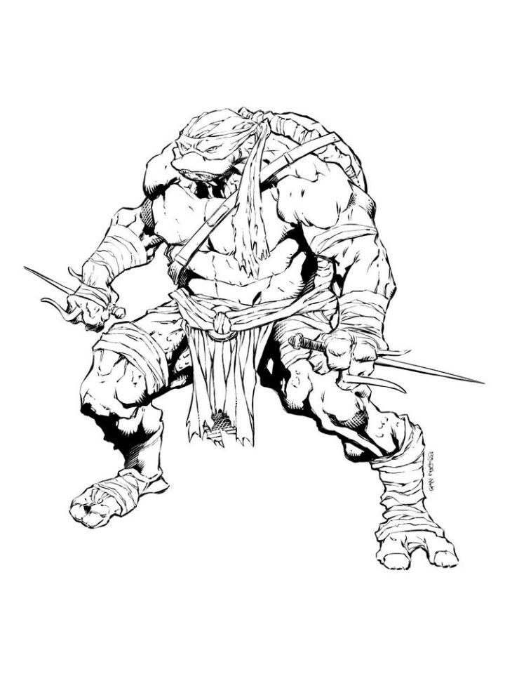 99+ Coloring Page Ninja Turtles: Cowabunga Coloring Adventure 41