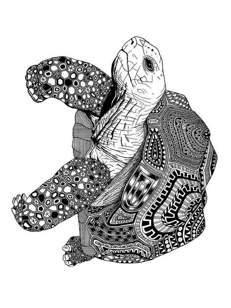 Turtle Coloring Pages: 110 Relaxing Designs for Turtle Lovers 10