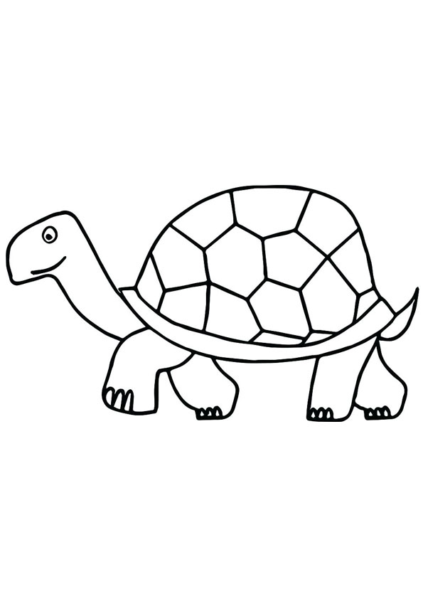 Turtle Coloring Pages: 110 Relaxing Designs for Turtle Lovers 101