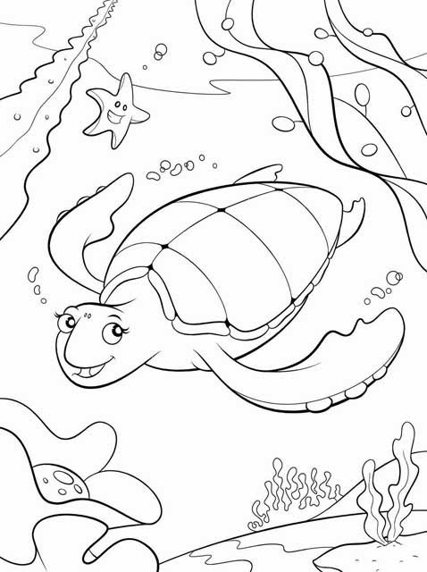 Turtle Coloring Pages: 110 Relaxing Designs for Turtle Lovers 104