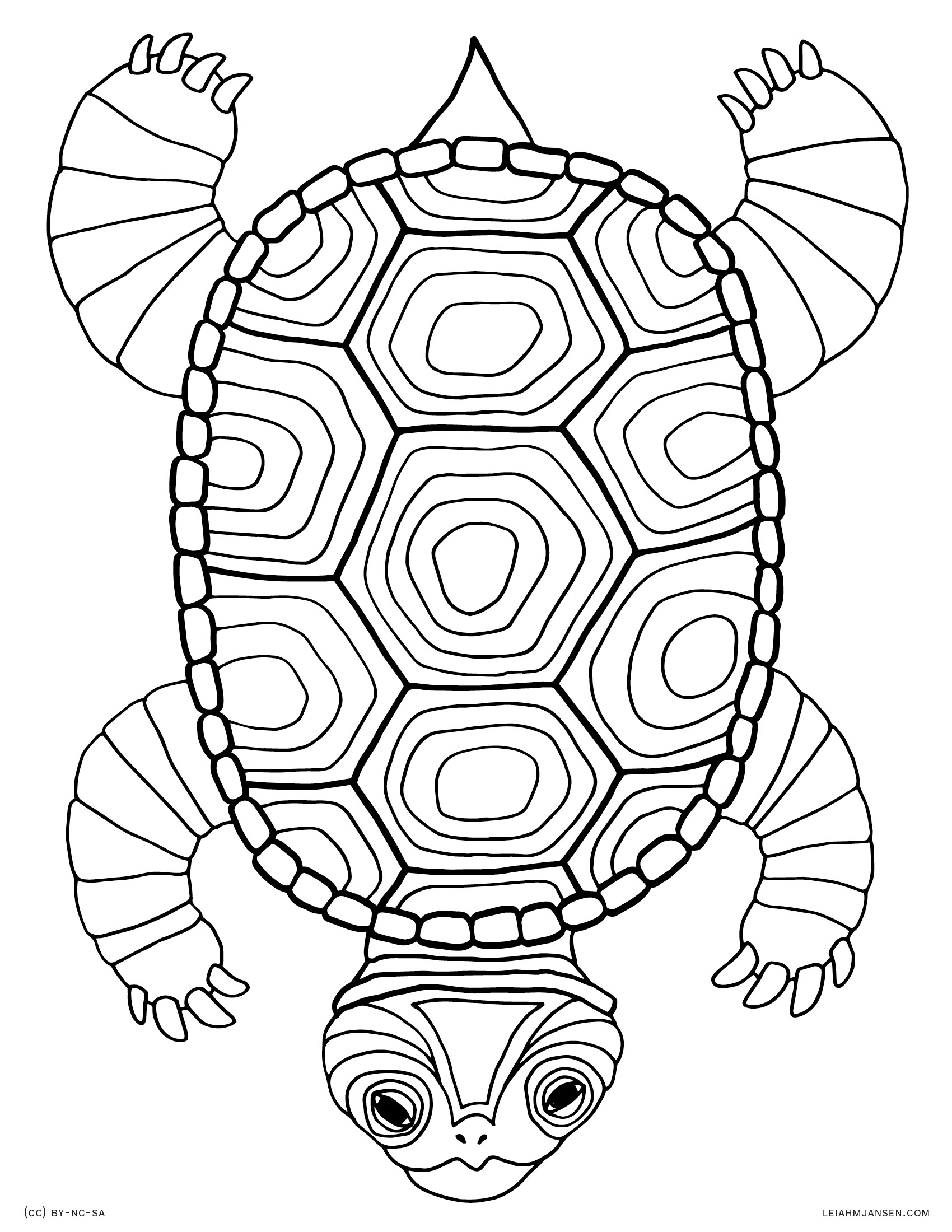 Turtle Coloring Pages: 110 Relaxing Designs for Turtle Lovers 109