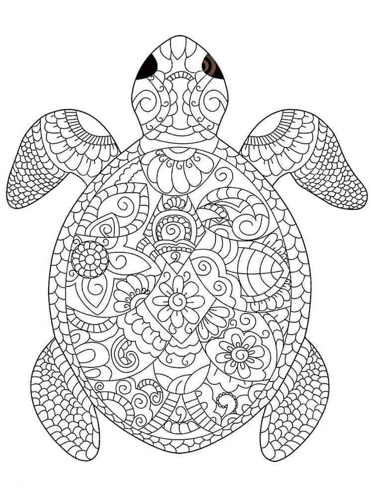 Turtle Coloring Pages: 110 Relaxing Designs for Turtle Lovers 11