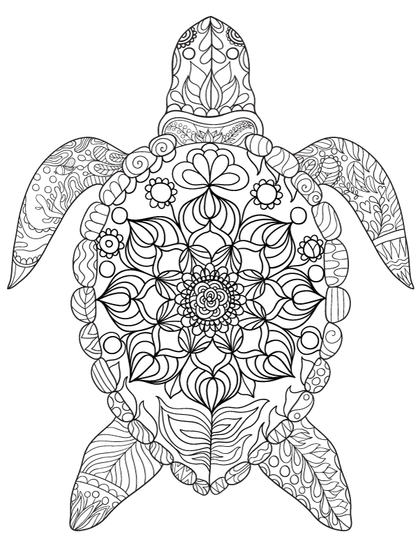 Turtle Coloring Pages: 110 Relaxing Designs for Turtle Lovers 113