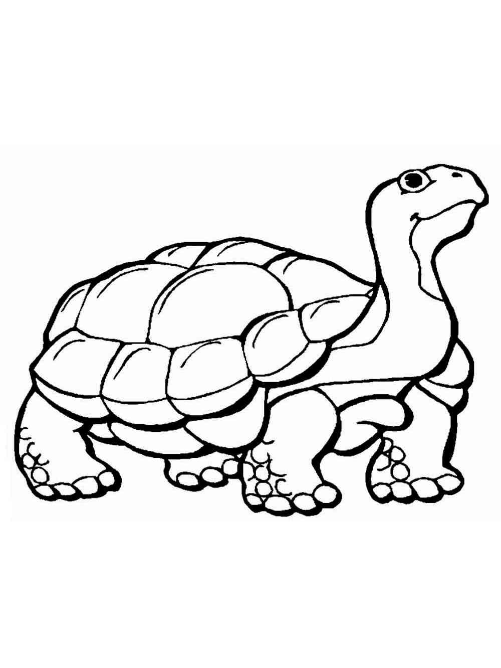 Turtle Coloring Pages: 110 Relaxing Designs for Turtle Lovers 115