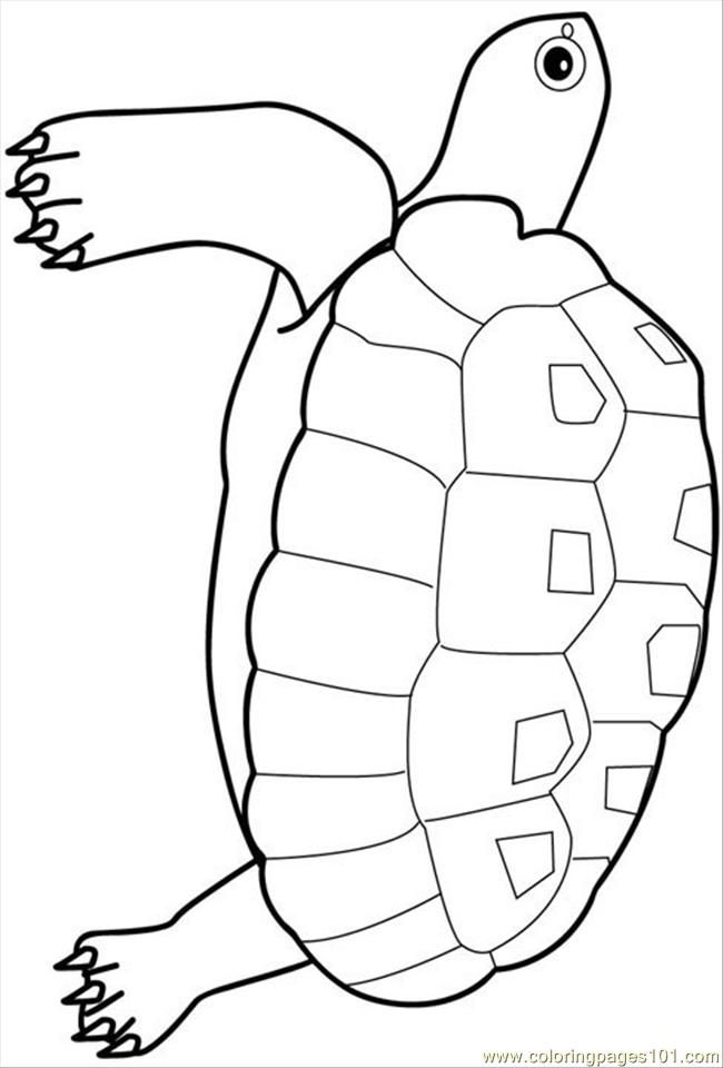 Turtle Coloring Pages: 110 Relaxing Designs for Turtle Lovers 118