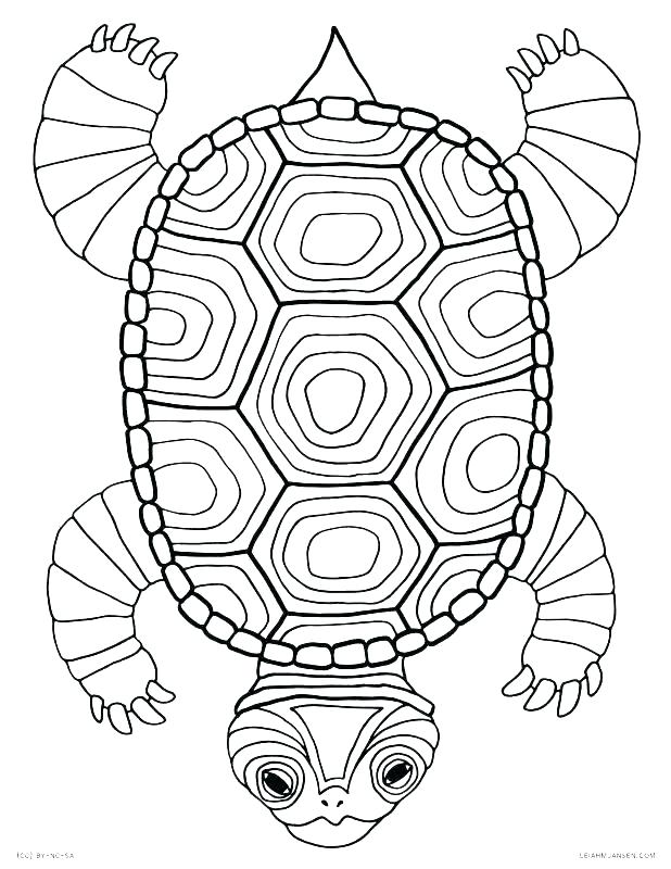 Turtle Coloring Pages: 110 Relaxing Designs for Turtle Lovers 119