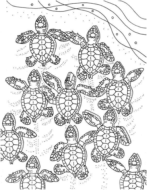 Turtle Coloring Pages: 110 Relaxing Designs for Turtle Lovers 123