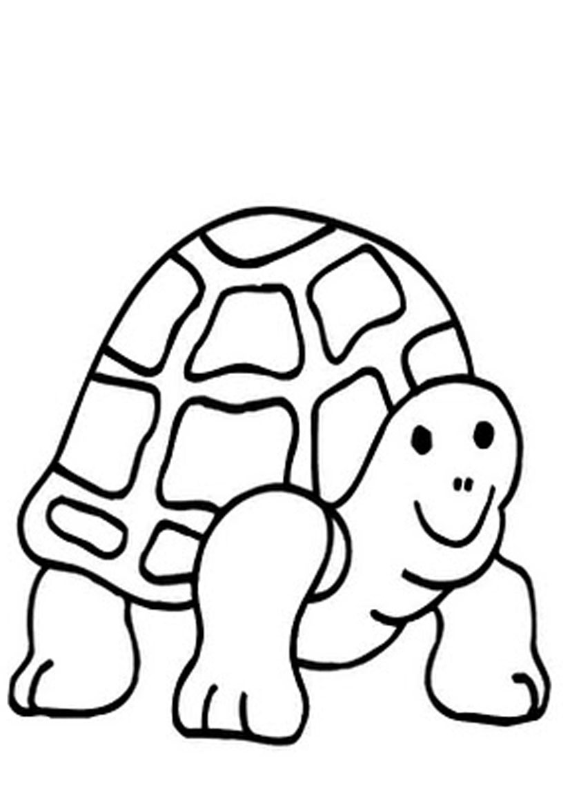 Turtle Coloring Pages: 110 Relaxing Designs for Turtle Lovers 126