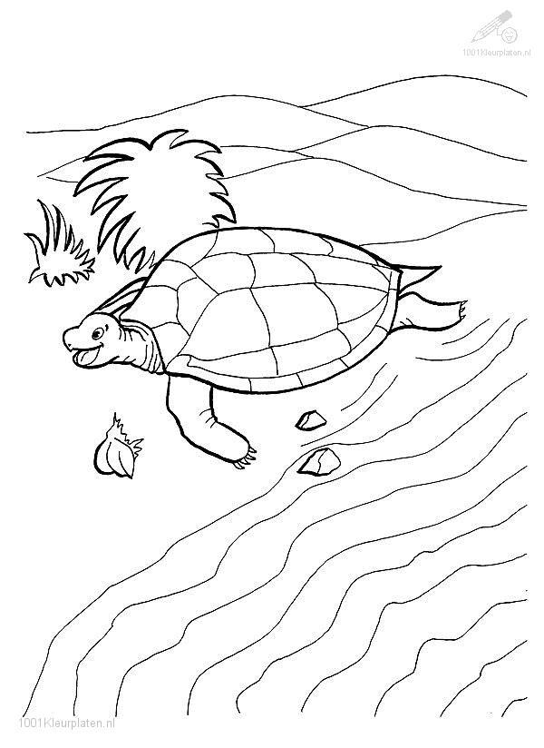 Turtle Coloring Pages: 110 Relaxing Designs for Turtle Lovers 129