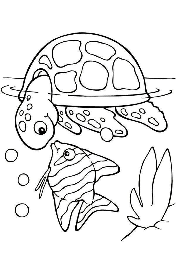 Turtle Coloring Pages: 110 Relaxing Designs for Turtle Lovers 133