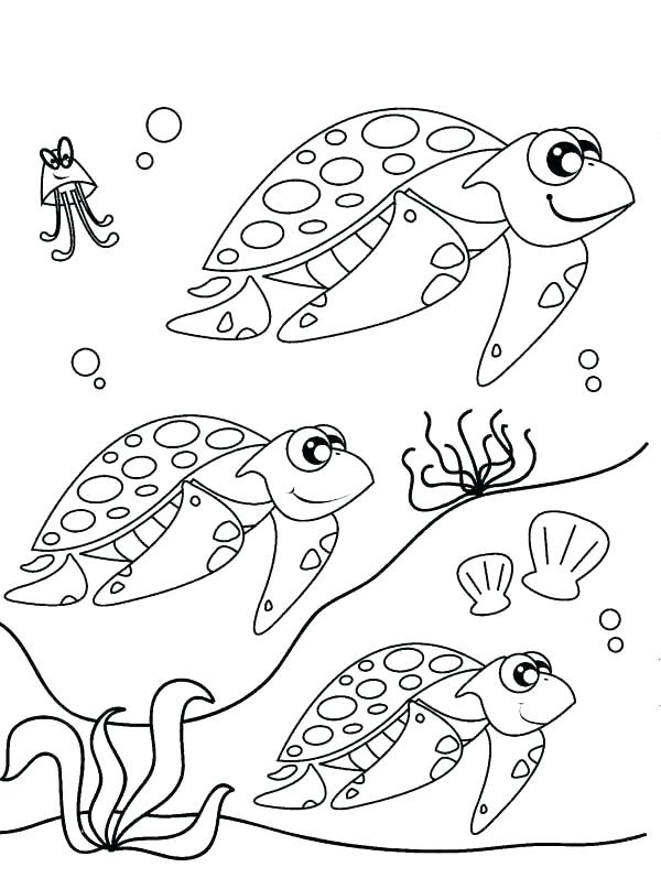 Turtle Coloring Pages: 110 Relaxing Designs for Turtle Lovers 137