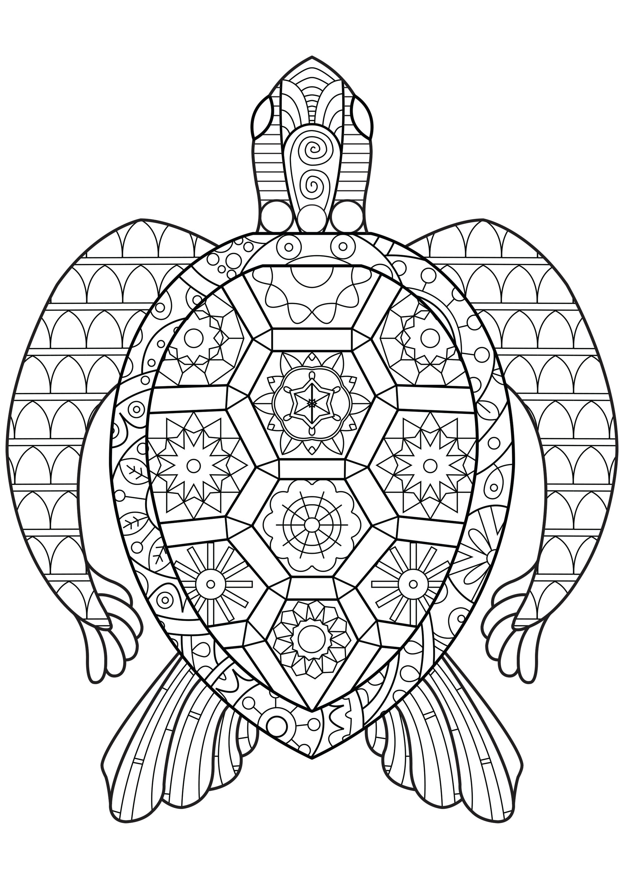 Turtle Coloring Pages: 110 Relaxing Designs for Turtle Lovers 14