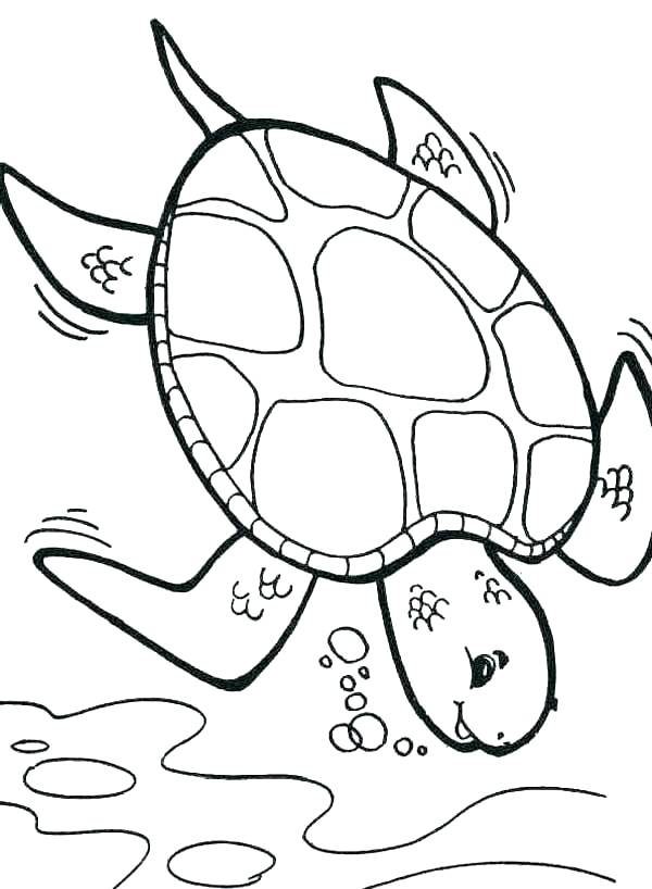 Turtle Coloring Pages: 110 Relaxing Designs for Turtle Lovers 19