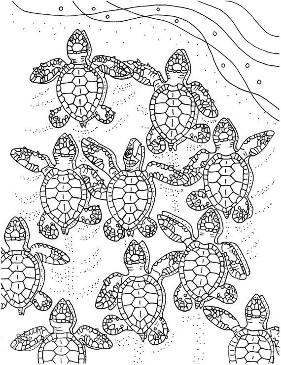 Turtle Coloring Pages: 110 Relaxing Designs for Turtle Lovers 2