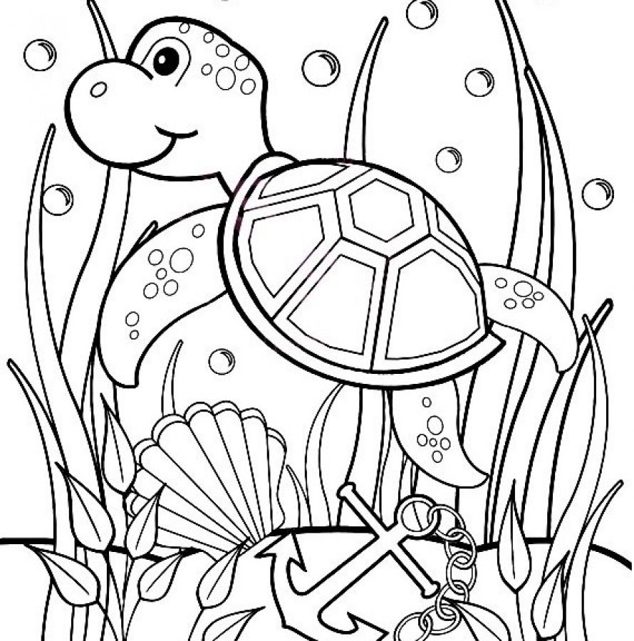 Turtle Coloring Pages: 110 Relaxing Designs for Turtle Lovers 20