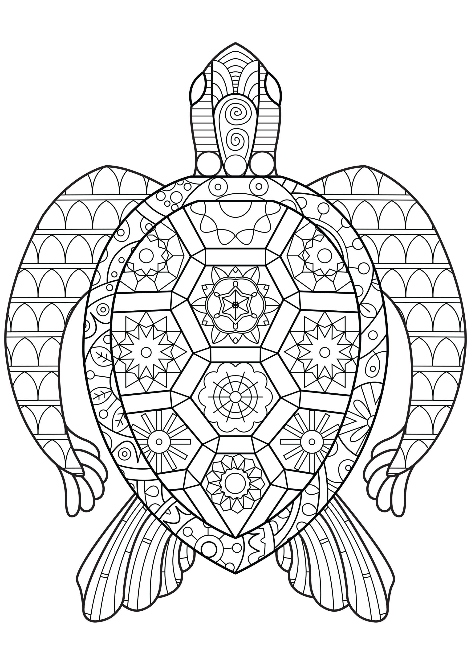 Turtle Coloring Pages: 110 Relaxing Designs for Turtle Lovers 21