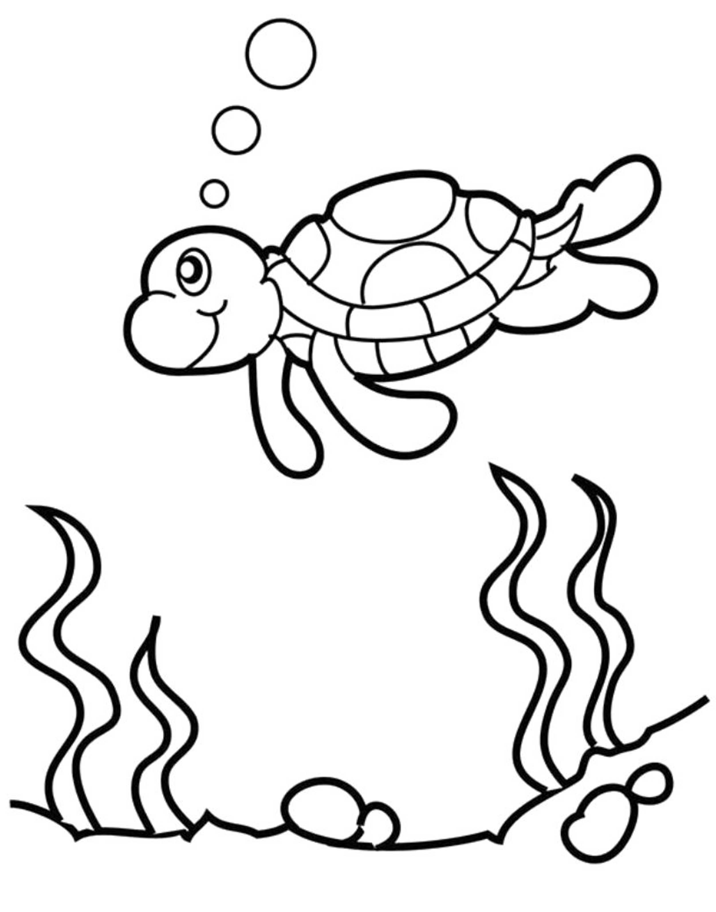 Turtle Coloring Pages: 110 Relaxing Designs for Turtle Lovers 23