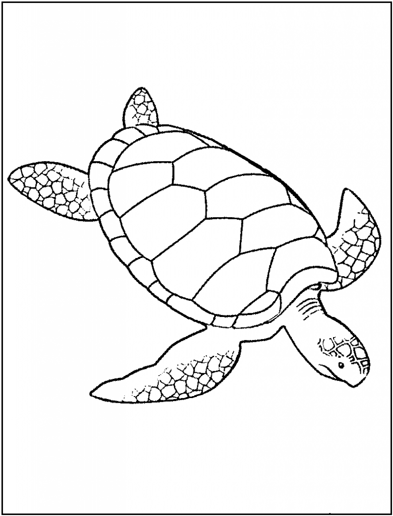 Turtle Coloring Pages: 110 Relaxing Designs for Turtle Lovers 25