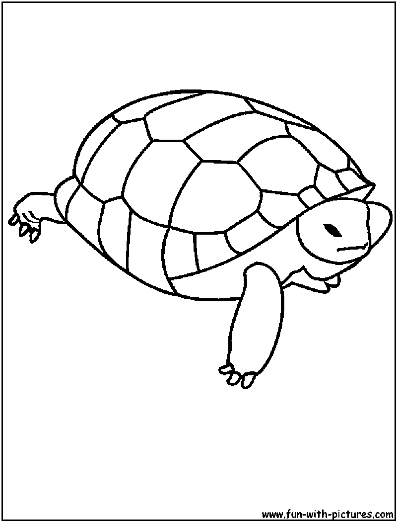 Turtle Coloring Pages: 110 Relaxing Designs for Turtle Lovers 28