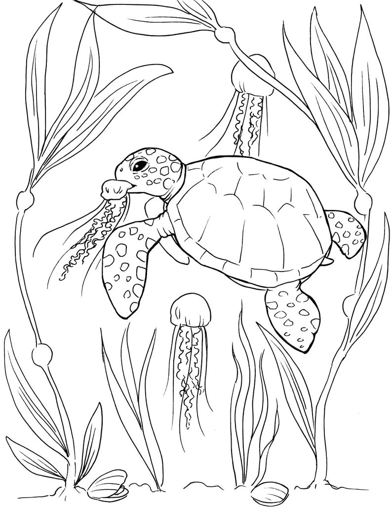 Turtle Coloring Pages: 110 Relaxing Designs for Turtle Lovers 30