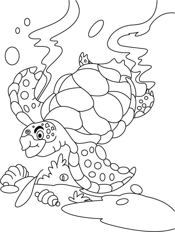 Turtle Coloring Pages: 110 Relaxing Designs for Turtle Lovers 31