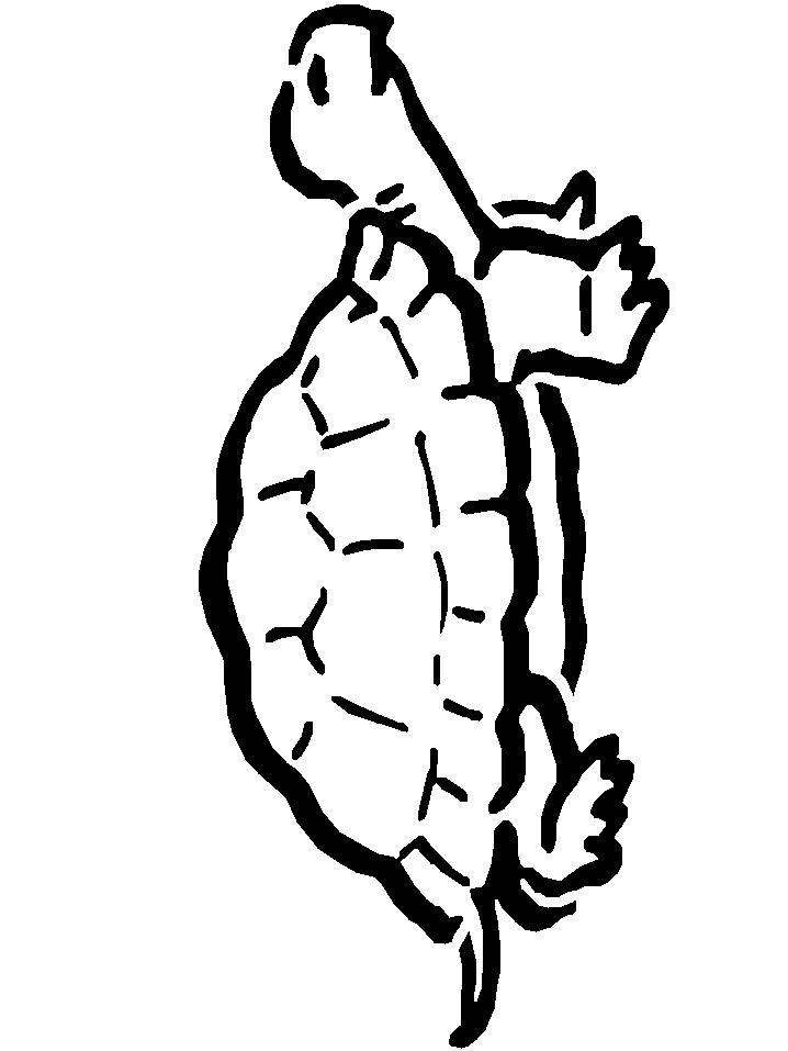 Turtle Coloring Pages: 110 Relaxing Designs for Turtle Lovers 35