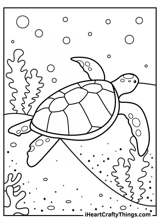 Turtle Coloring Pages: 110 Relaxing Designs for Turtle Lovers 36