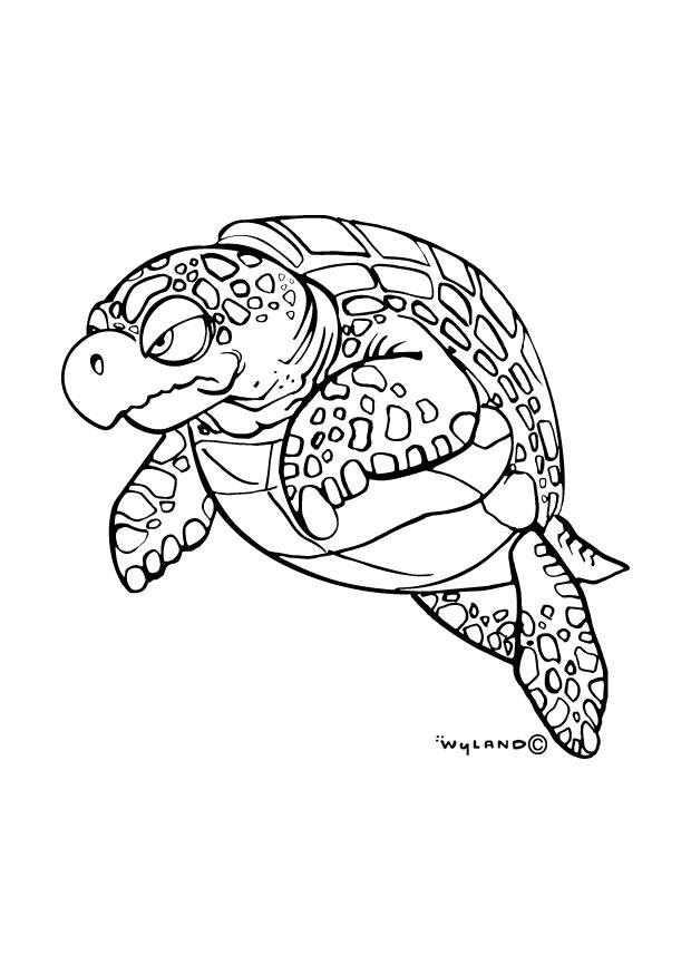 Turtle Coloring Pages: 110 Relaxing Designs for Turtle Lovers 41