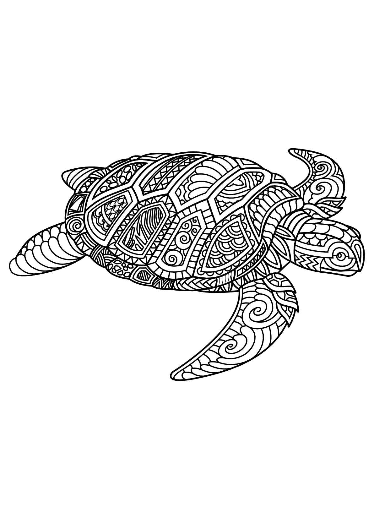 Turtle Coloring Pages: 110 Relaxing Designs for Turtle Lovers 43