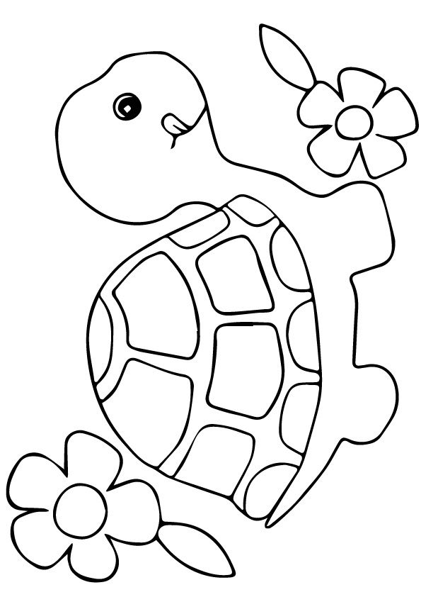 Turtle Coloring Pages: 110 Relaxing Designs for Turtle Lovers 65