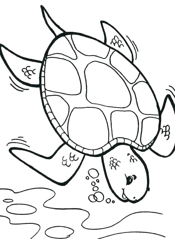 Turtle Coloring Pages: 110 Relaxing Designs for Turtle Lovers 68