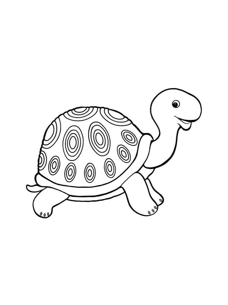 Turtle Coloring Pages: 110 Relaxing Designs for Turtle Lovers 7