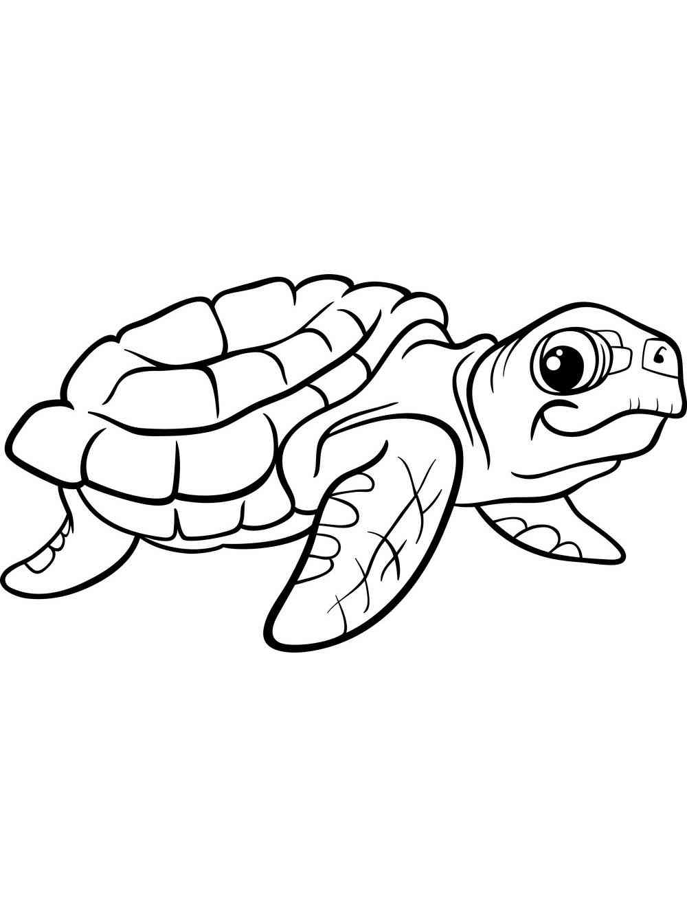 Turtle Coloring Pages: 110 Relaxing Designs for Turtle Lovers 72