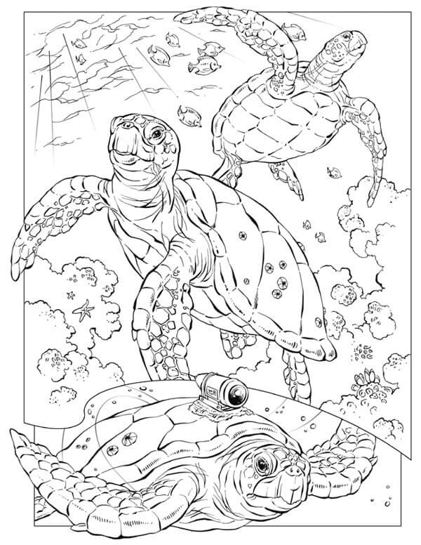 Turtle Coloring Pages: 110 Relaxing Designs for Turtle Lovers 76