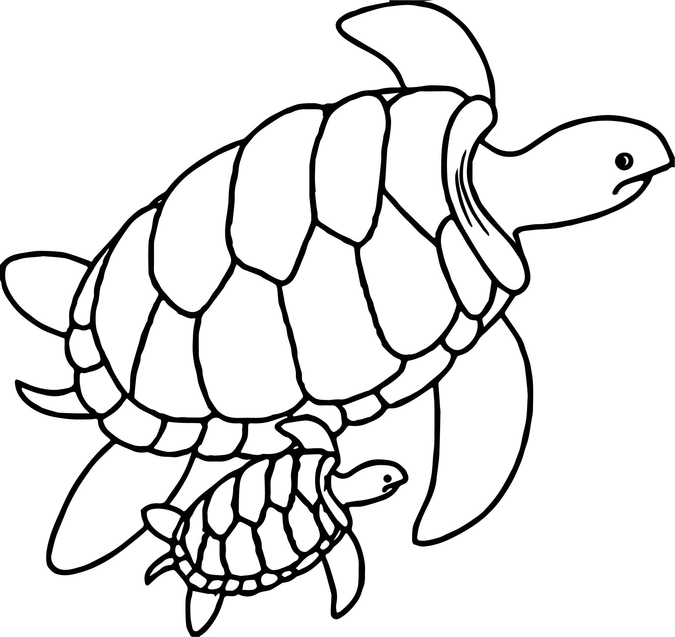 Turtle Coloring Pages: 110 Relaxing Designs for Turtle Lovers 79