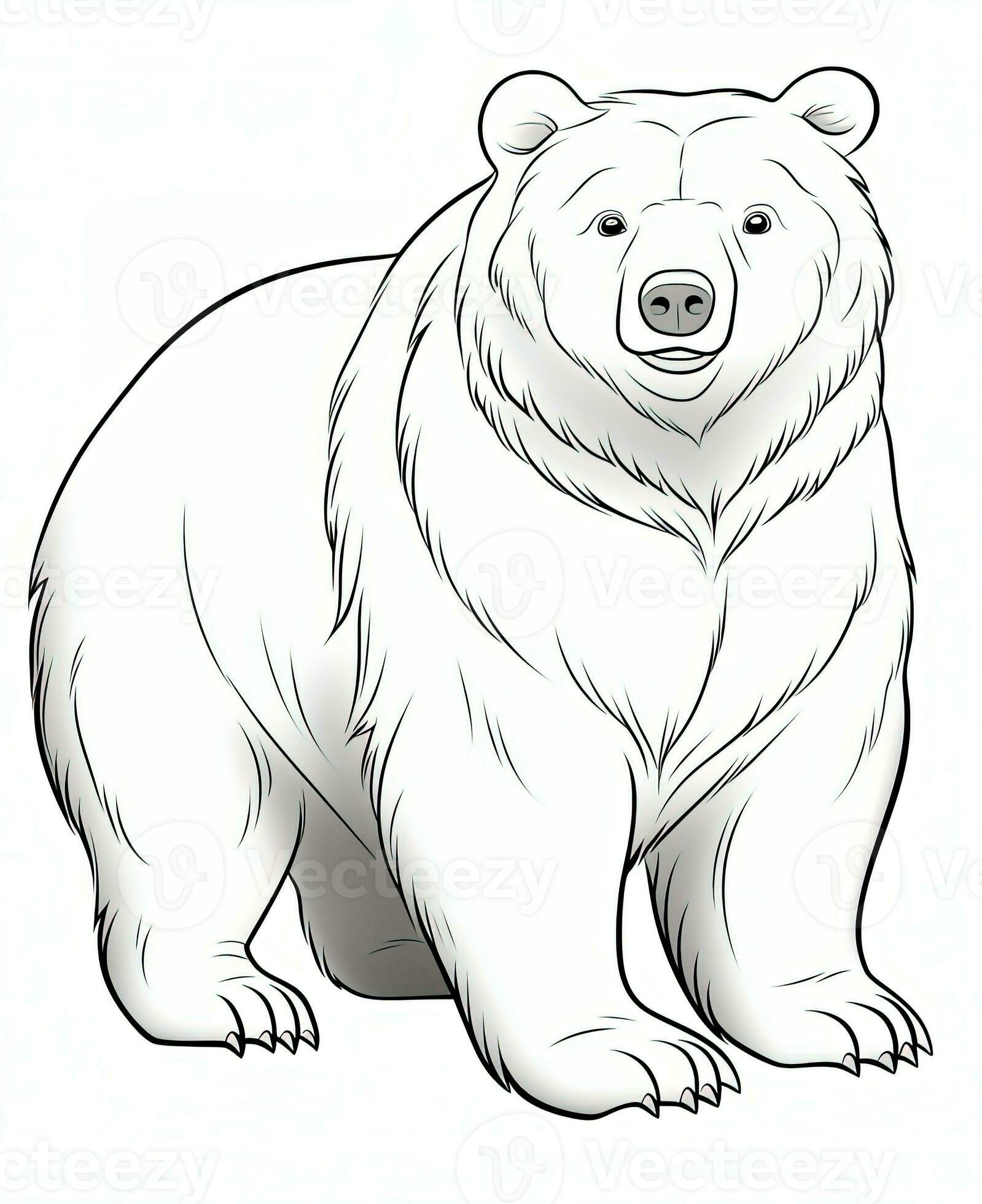 126 Brown Bear Coloring Pages Printable 116