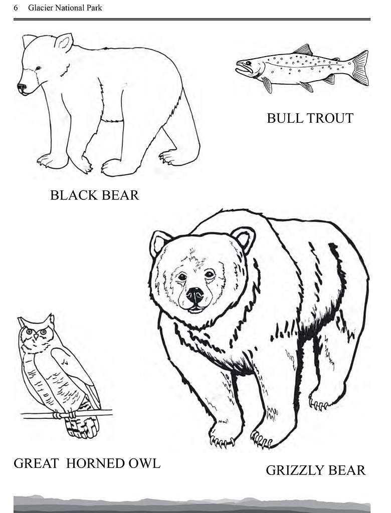 126 Brown Bear Coloring Pages Printable 125