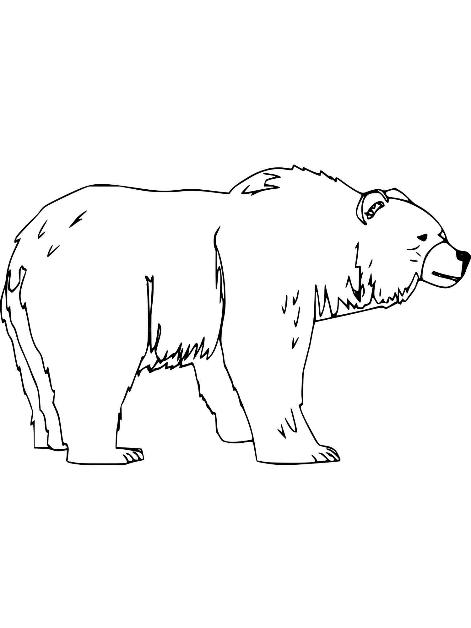 126 Brown Bear Coloring Pages Printable 16