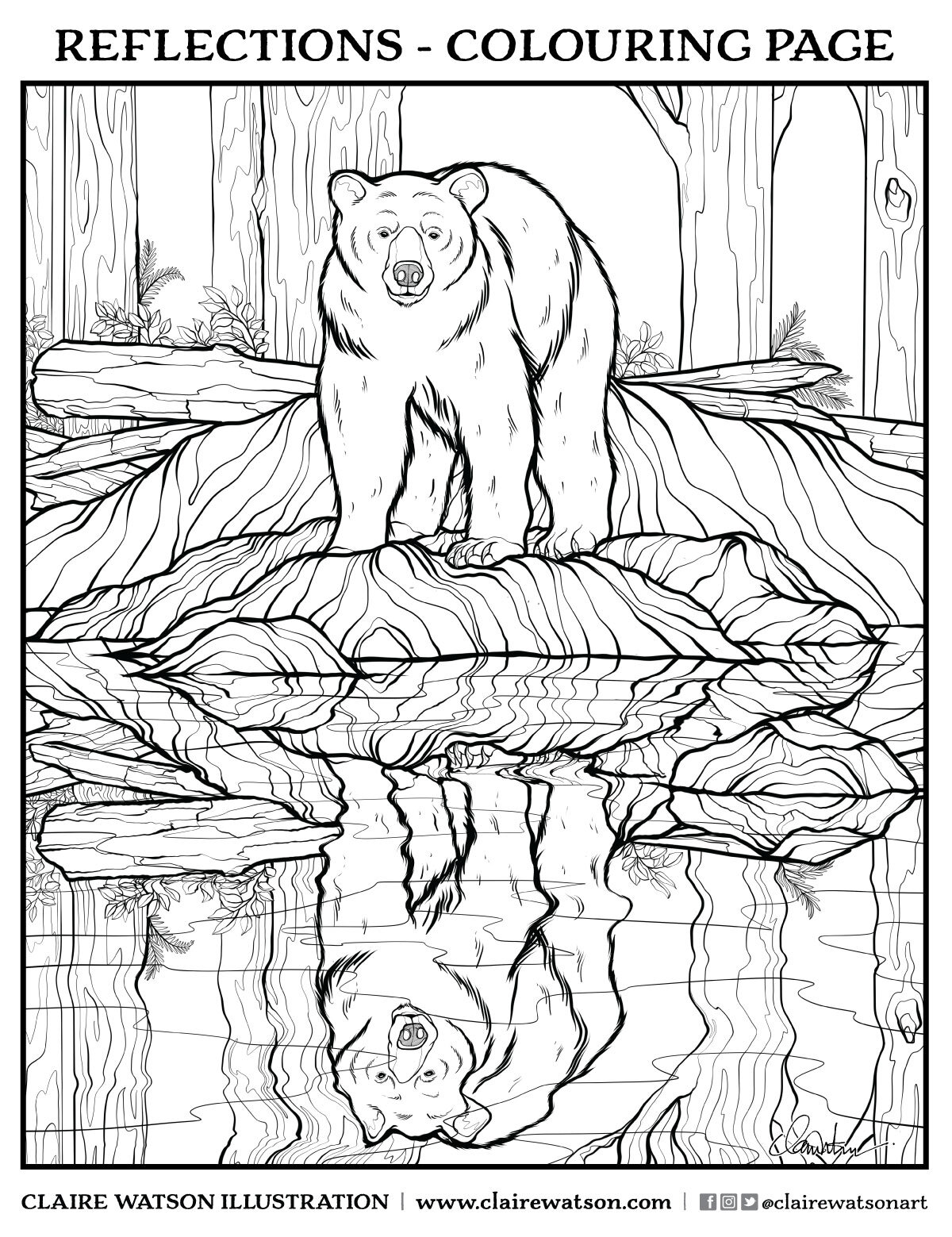 126 Brown Bear Coloring Pages Printable 37