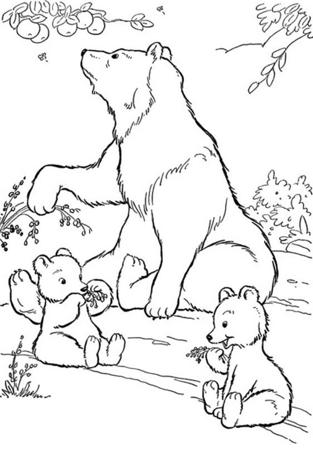 126 Brown Bear Coloring Pages Printable 39