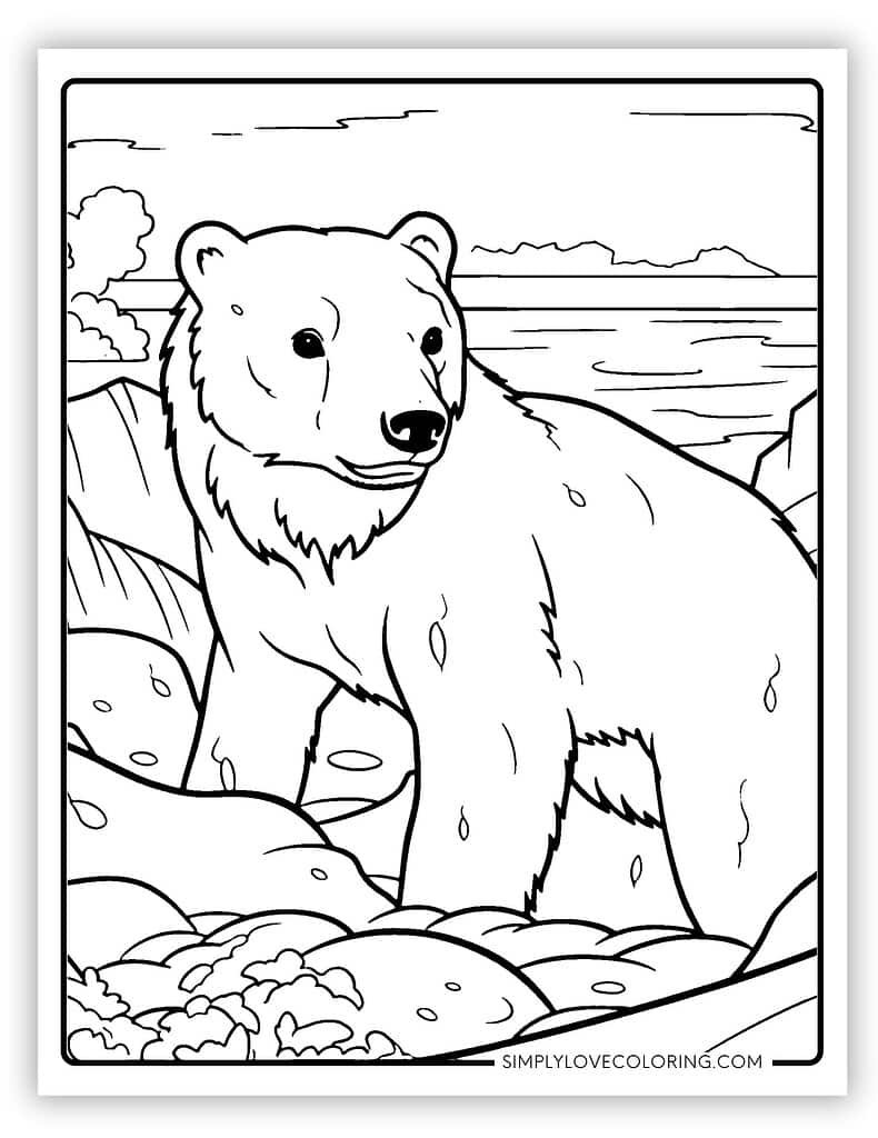 126 Brown Bear Coloring Pages Printable 41