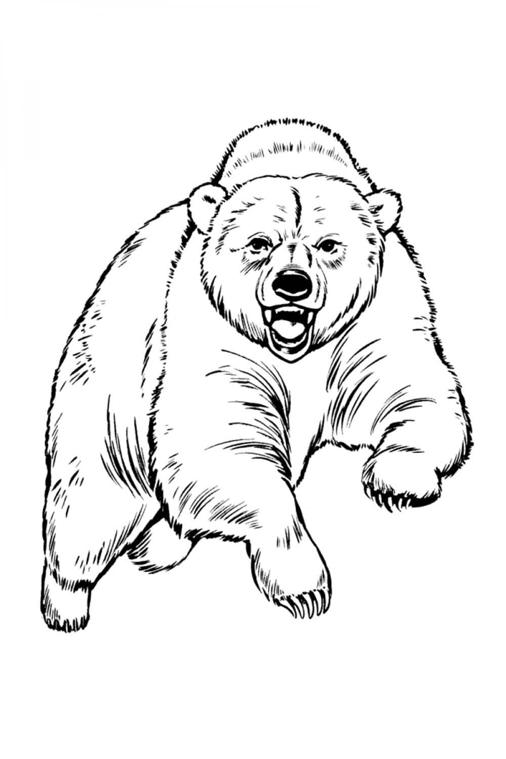 126 Brown Bear Coloring Pages Printable 46