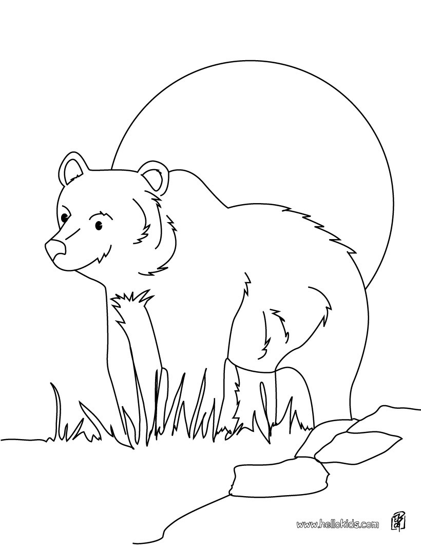 126 Brown Bear Coloring Pages Printable 5